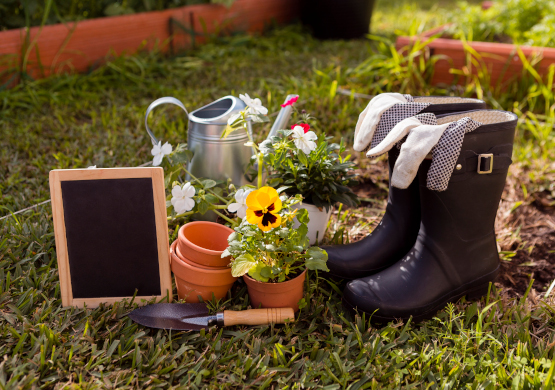 Affittacamere Il Sole