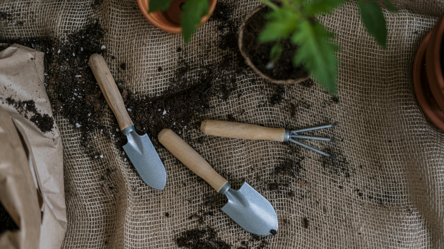 ALCO Manutenzioni: Il Meglio a Empoli